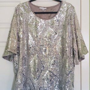 Silver Sequined Top